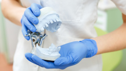 Dentist's hand hold dental gypsum model, close up photo