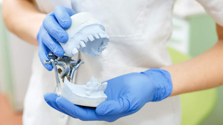 Dentist's hand hold dental gypsum model, close up photo