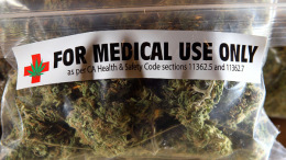 Medical-Cannabis1