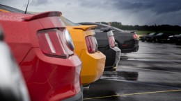 shelby-3821715_640