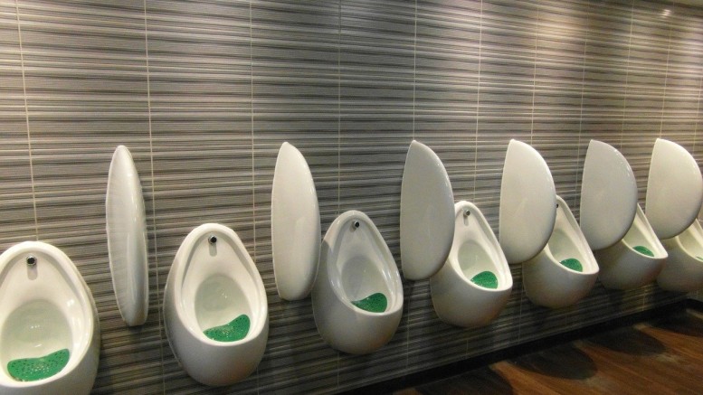 urinal-1666092_1280