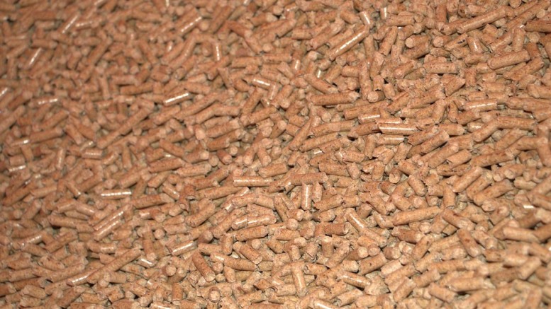 pellets-3814711_960_720