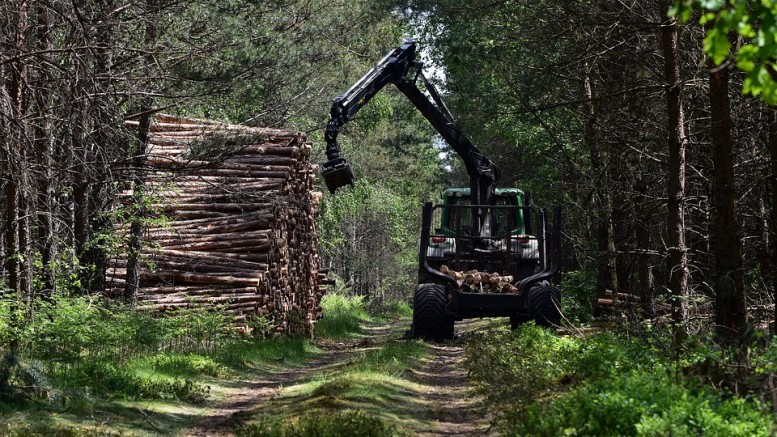 forestry-loader-6313100_960_720