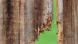 wood-4524613_1280