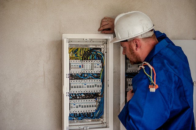 główne_ElektrykAustria